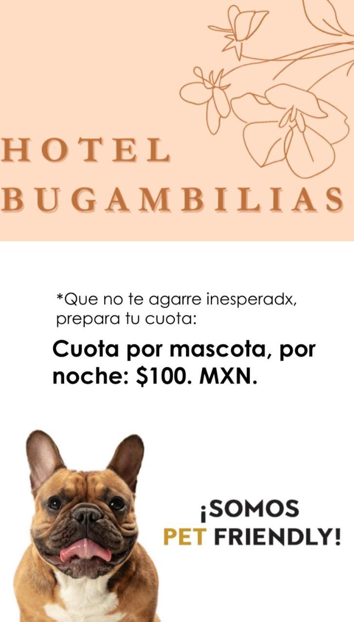 Oaxaca Hotel Bugambilias מראה חיצוני תמונה